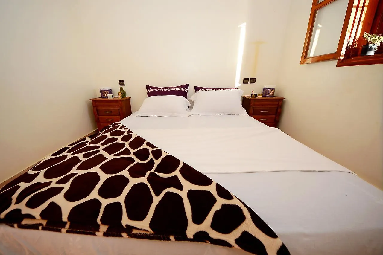 Tamraght Surf Hostel Morocco